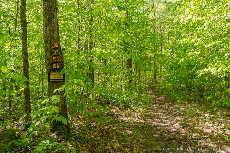 Campsite Photo of Site 196 at Meacham Lake Campground, New York - Looking at Site from Road Sign Visible
