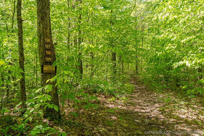 Campsite Photo of Site 198 at Meacham Lake Campground, New York - Looking at Site from Road Sign Visible
