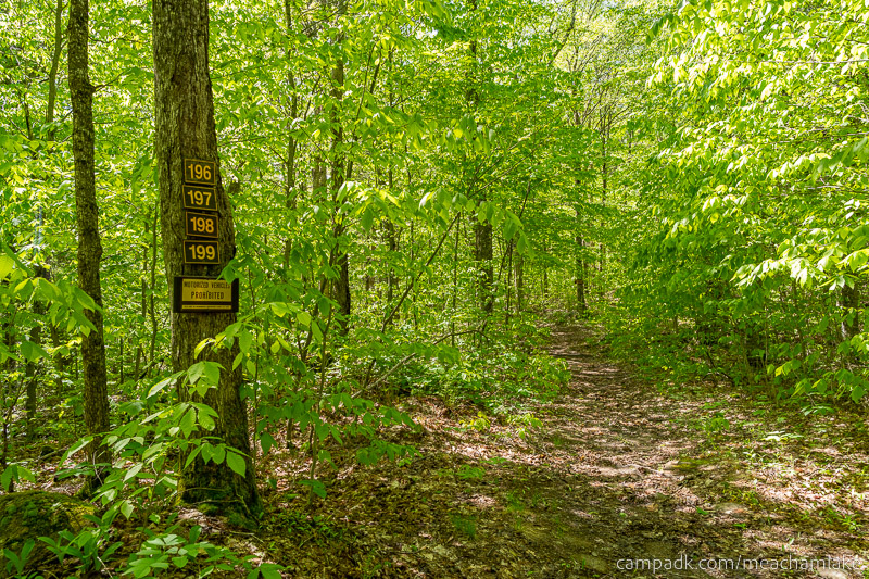 Campsite Photo of Site 199 at Meacham Lake Campground, New York - Looking at Site from Road Sign Visible