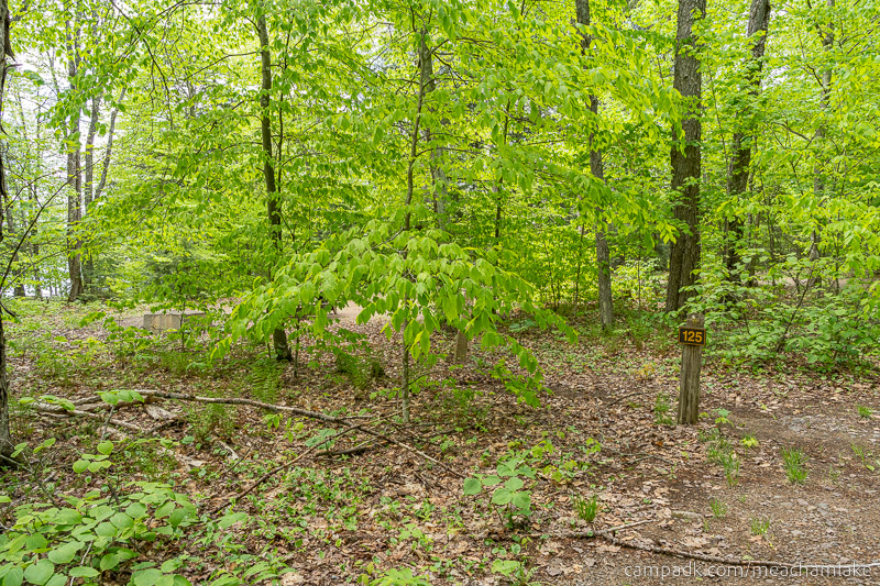Campsite Photo of Site 125 at Meacham Lake Campground, New York - Looking at Site from Road Sign Visible