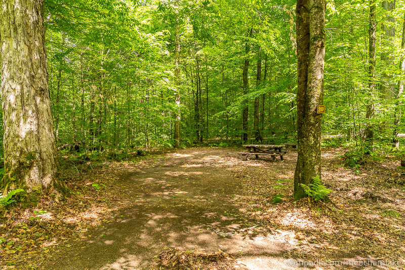Campsite Photo of Site 200 at Meacham Lake Campground, New York - Looking at Site from Road Sign Visible