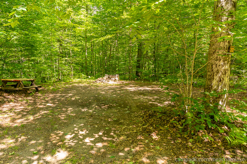 Campsite Photo of Site 202 at Meacham Lake Campground, New York - Looking at Site from Road Sign Visible
