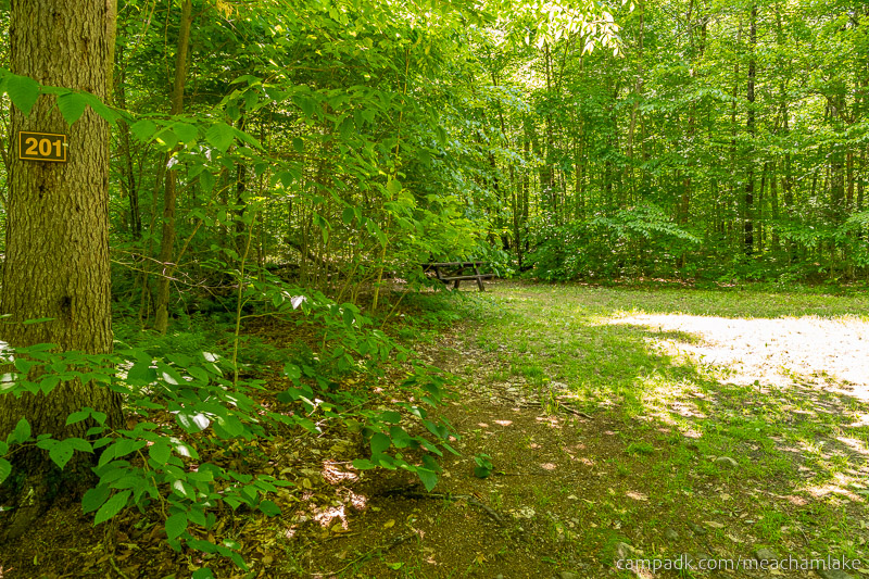 Campsite Photo of Site 201 at Meacham Lake Campground, New York - Looking at Site from Road Sign Visible