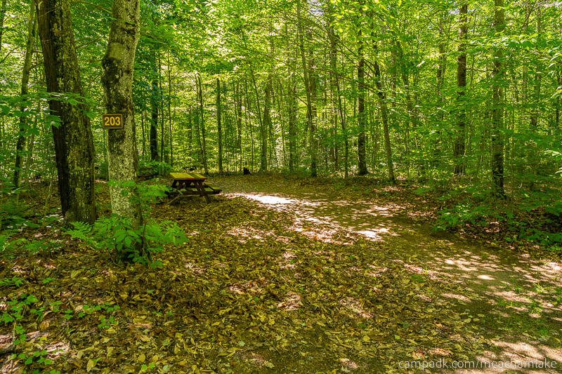 Campsite Photo of Site 203 at Meacham Lake Campground, New York - Looking at Site from Road Sign Visible