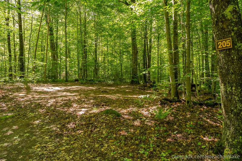 Campsite Photo of Site 205 at Meacham Lake Campground, New York - Looking at Site from Road Sign Visible
