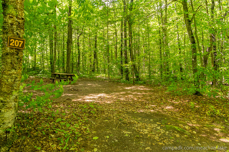 Campsite Photo of Site 207 at Meacham Lake Campground, New York - Looking at Site from Road Sign Visible