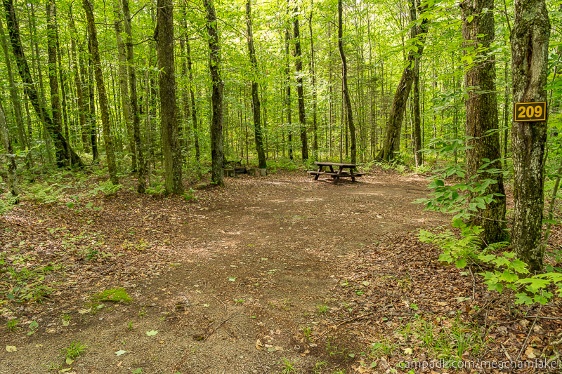 Campsite Photo of Site 209 at Meacham Lake Campground, New York - Looking at Site from Road Sign Visible