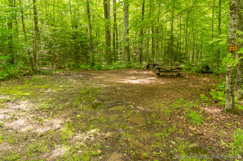 Campsite Photo of Site 213 at Meacham Lake Campground, New York - Looking at Site from Road Sign Visible