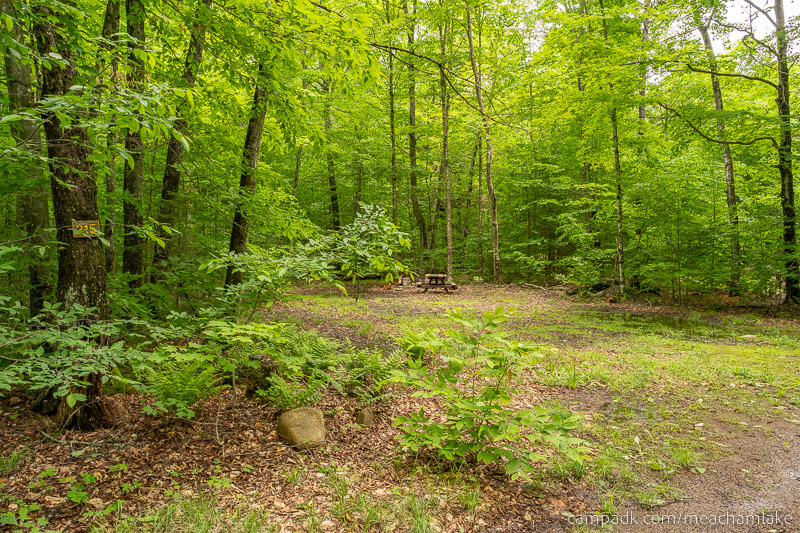 Campsite Photo of Site 215 at Meacham Lake Campground, New York - Looking at Site from Road Sign Visible