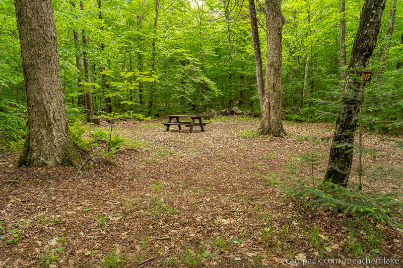 Campsite Photo of Site 217 at Meacham Lake Campground, New York - Looking at Site from Road Sign Visible