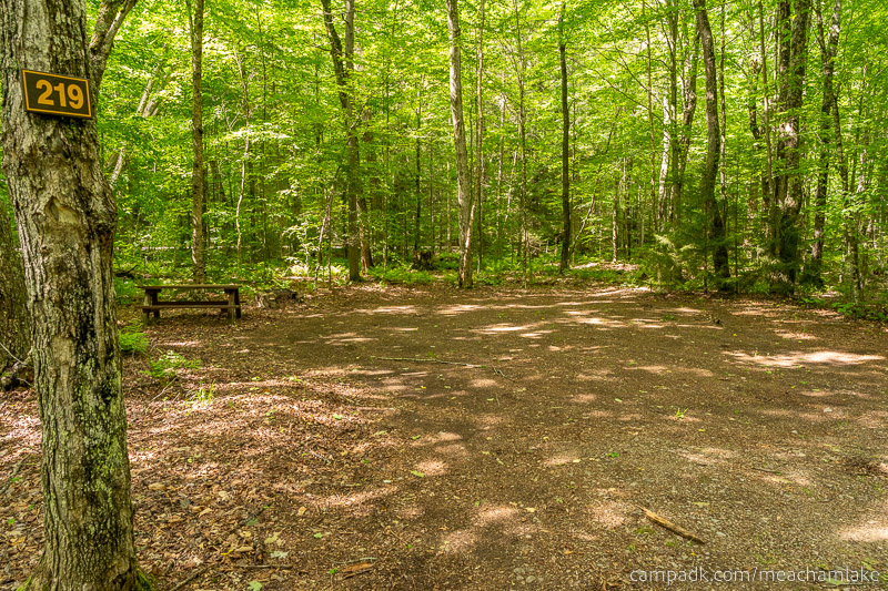 Campsite Photo of Site 219 at Meacham Lake Campground, New York - Looking at Site from Road Sign Visible