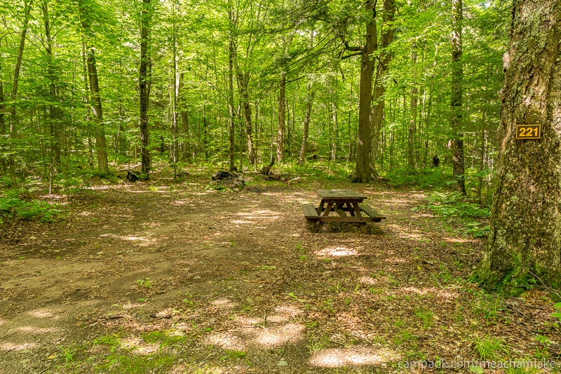Campsite Photo of Site 221 at Meacham Lake Campground, New York - Looking at Site from Road Sign Visible