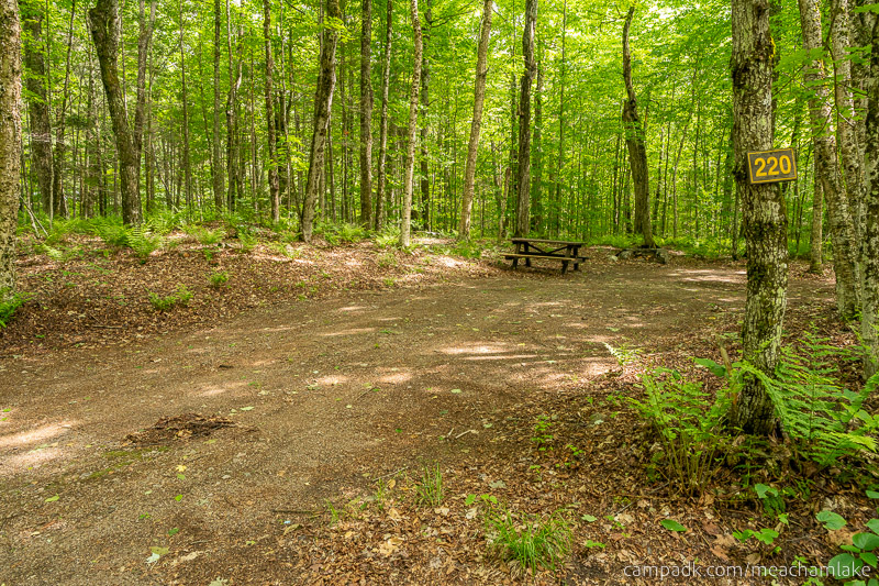 Campsite Photo of Site 220 at Meacham Lake Campground, New York - Looking at Site from Road Sign Visible