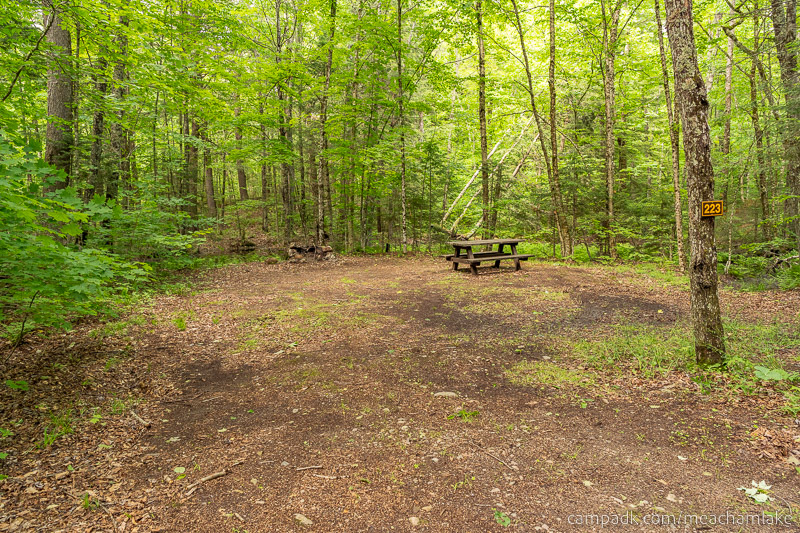Campsite Photo of Site 223 at Meacham Lake Campground, New York - Looking at Site from Road Sign Visible