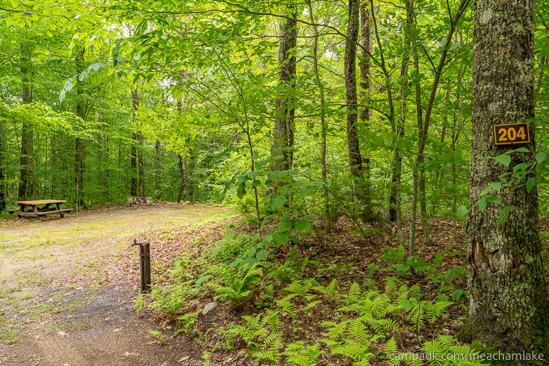 Campsite Photo of Site 204 at Meacham Lake Campground, New York - Looking at Site from Road Sign Visible
