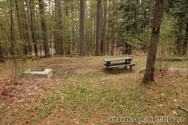 Campsite Photo of Site 9 at Moffitt Beach Campground, New York - Looking at Site from Road Sign Visible