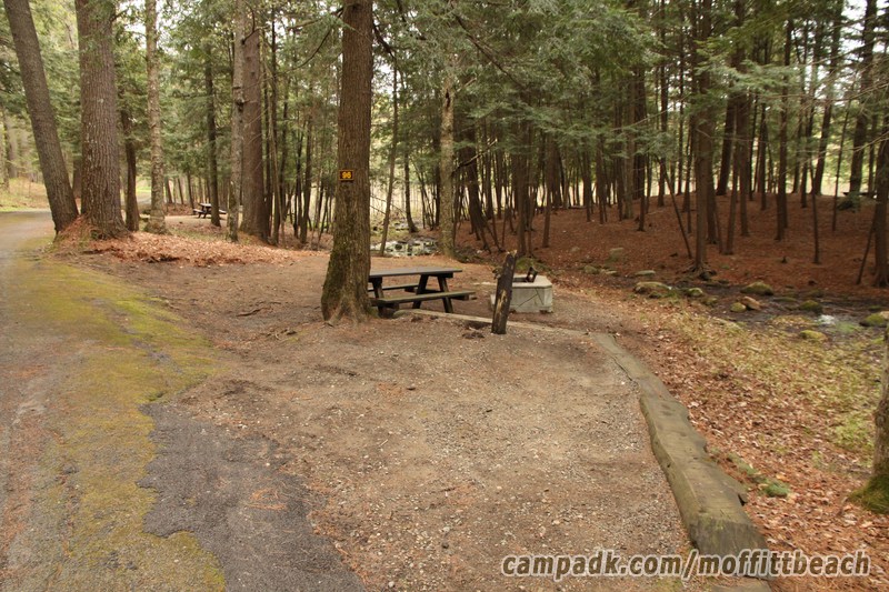 Campsite Photo of Site 96 at Moffitt Beach Campground, New York - Looking at Site from Road Sign Visible