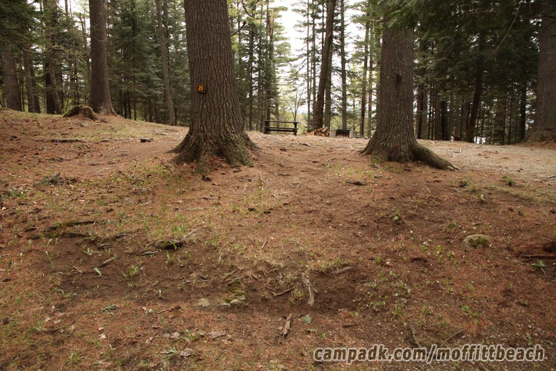 Campsite Photo of Site 20 at Moffitt Beach Campground, New York - Looking at Site from Road Sign Visible