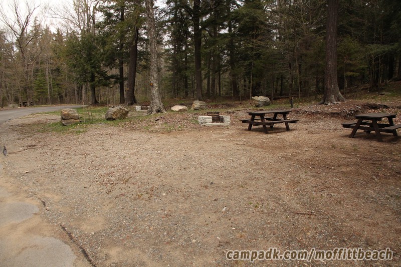 Campsite Photo of Site 35 at Moffitt Beach Campground, New York - Looking at Site from Road Sign Visible