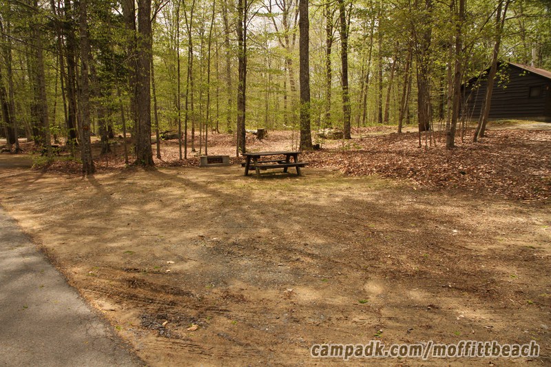 Campsite Photo of Site 215 at Moffitt Beach Campground, New York - Looking at Site from Road Sign Visible