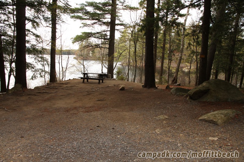 Campsite Photo of Site 250 at Moffitt Beach Campground, New York - Looking at Site from Road Sign Visible