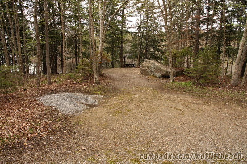 Campsite Photo of Site 253 at Moffitt Beach Campground, New York - Looking at Site from Road Sign Visible