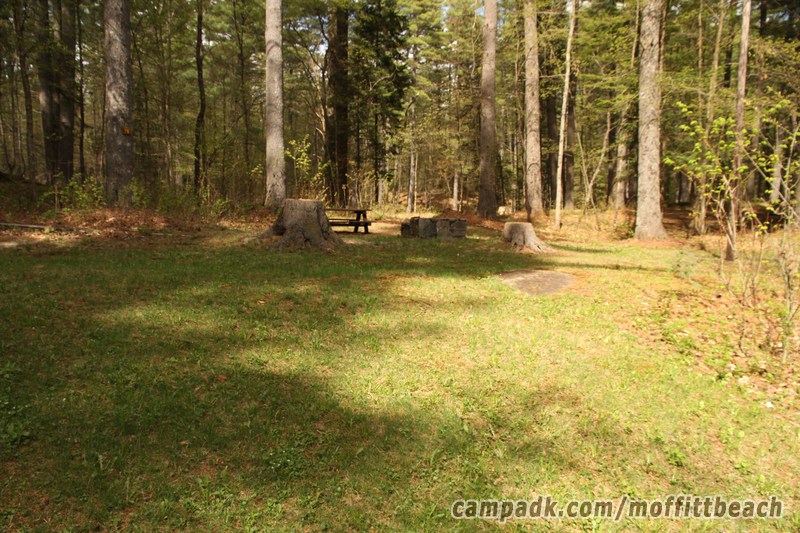 Campsite Photo of Site 78 at Moffitt Beach Campground, New York - Looking at Site from Road Sign Visible