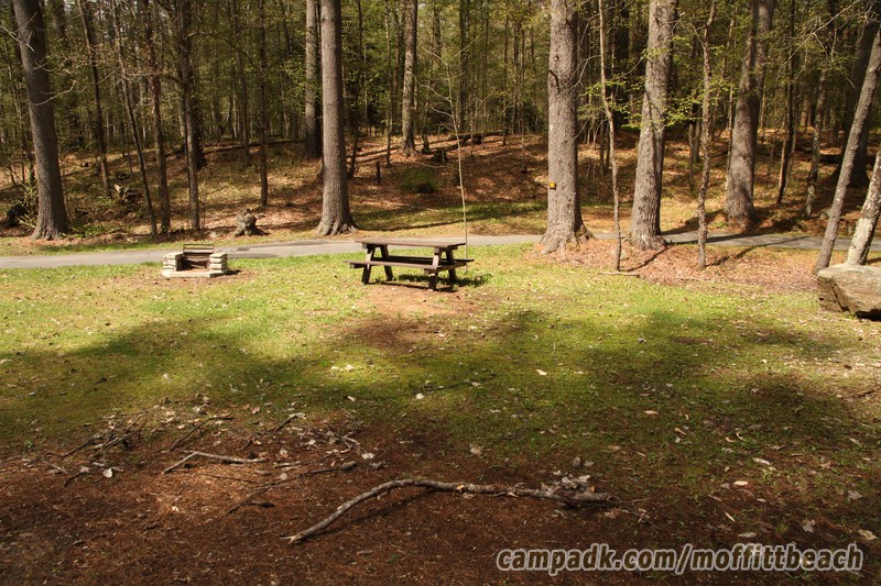 Campsite Photo of Site 68 at Moffitt Beach Campground, New York - Looking at Site from Road Sign Visible
