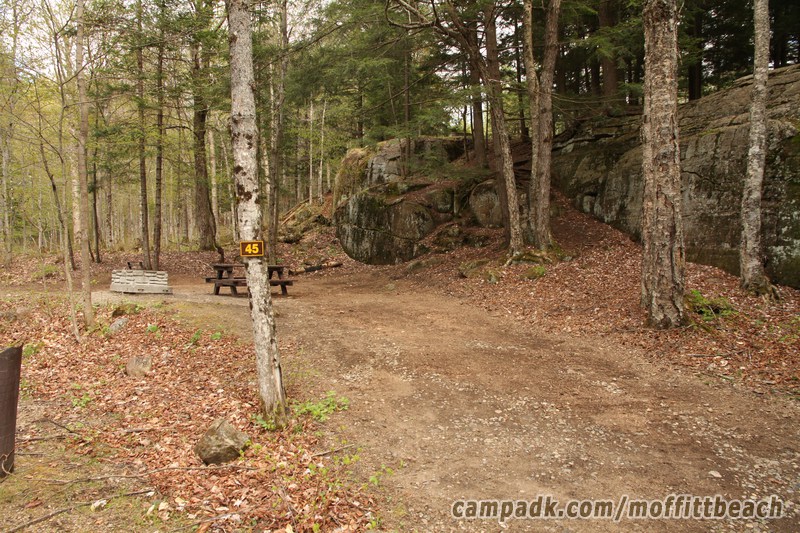 Campsite Photo of Site 45 at Moffitt Beach Campground, New York - Looking at Site from Road Sign Visible