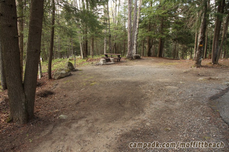 Campsite Photo of Site 156A at Moffitt Beach Campground, New York - Looking at Site from Road Sign Visible