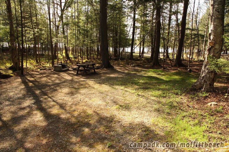 Campsite Photo of Site 127 at Moffitt Beach Campground, New York - Looking at Site from Road Sign Visible