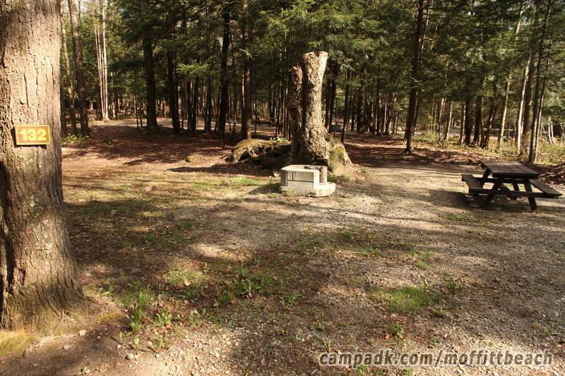 Campsite Photo of Site 132 at Moffitt Beach Campground, New York - Looking at Site from Road Sign Visible