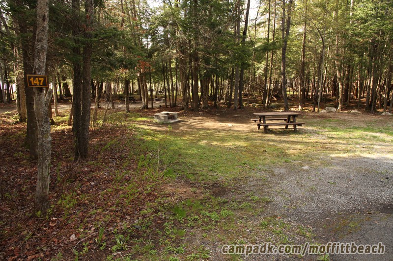 Campsite Photo of Site 147 at Moffitt Beach Campground, New York - Looking at Site from Road Sign Visible