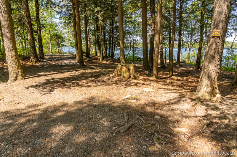 Campsite Photo of Site 246 at Moffitt Beach Campground, New York - Looking at Site from Road Sign Visible