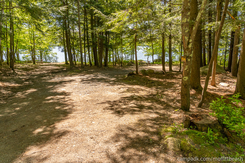 Campsite Photo of Site 194 at Moffitt Beach Campground, New York - Looking at Site from Road Sign Visible
