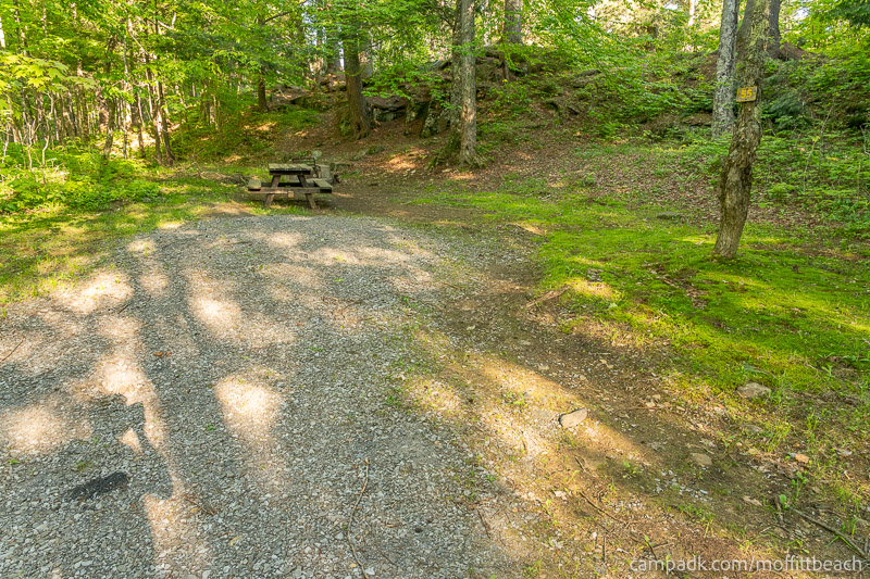 Campsite Photo of Site 55 at Moffitt Beach Campground, New York - Looking at Site from Road Sign Visible