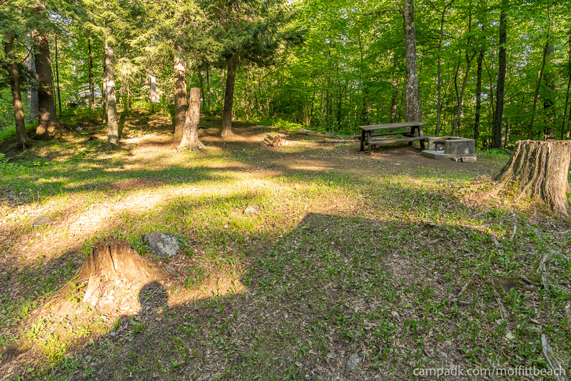 Campsite Photo of Site 56 at Moffitt Beach Campground, New York - Looking at Site from Road Sign Visible