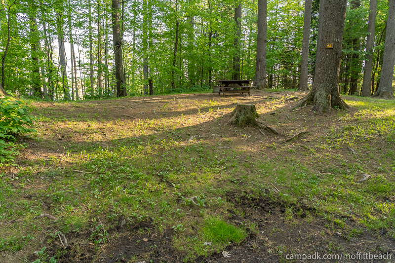 Campsite Photo of Site 23 at Moffitt Beach Campground, New York - Looking at Site from Road Sign Visible