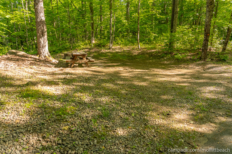 Campsite Photo of Site 46 at Moffitt Beach Campground, New York - Looking at Site from Road Sign Visible