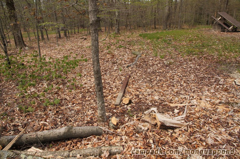 Campsite Photo of Site 5 at Mongaup Pond, New York - Looking at Site from Road Sign Visible