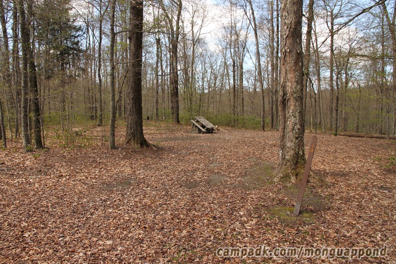 Campsite Photo of Site 10 at Mongaup Pond, New York - Looking at Site from Road Sign Visible