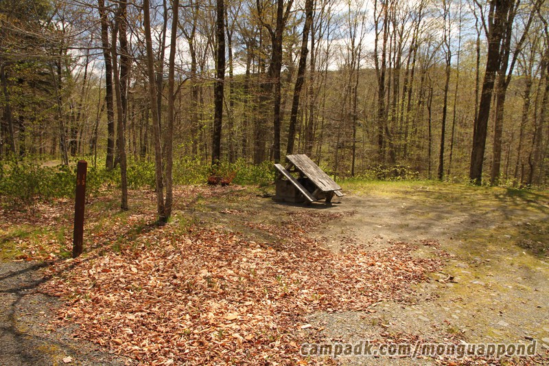 Campsite Photo of Site 15 at Mongaup Pond, New York - Looking at Site from Road Sign Visible
