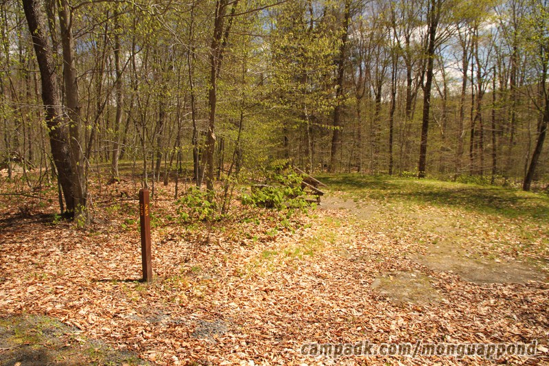 Campsite Photo of Site 25 at Mongaup Pond, New York - Looking at Site from Road Sign Visible