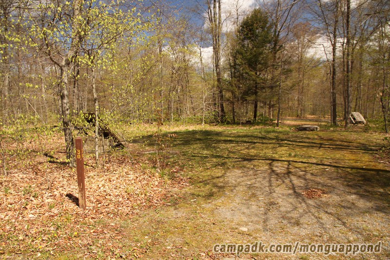 Campsite Photo of Site 30 at Mongaup Pond, New York - Looking at Site from Road Sign Visible