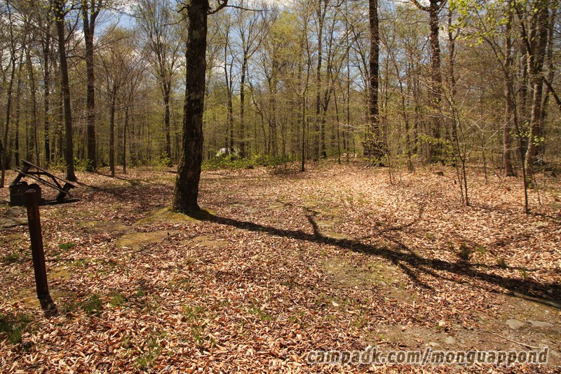 Campsite Photo of Site 35 at Mongaup Pond, New York - Looking at Site from Road Sign Visible