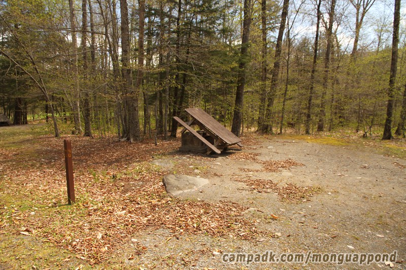 Campsite Photo of Site 40 at Mongaup Pond, New York - Looking at Site from Road Sign Visible