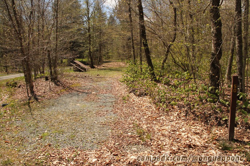 Campsite Photo of Site 50 at Mongaup Pond, New York - Looking at Site from Road Sign Visible