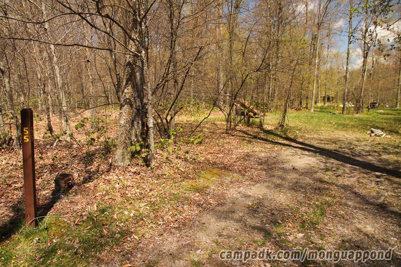 Campsite Photo of Site 55 at Mongaup Pond, New York - Looking at Site from Road Sign Visible