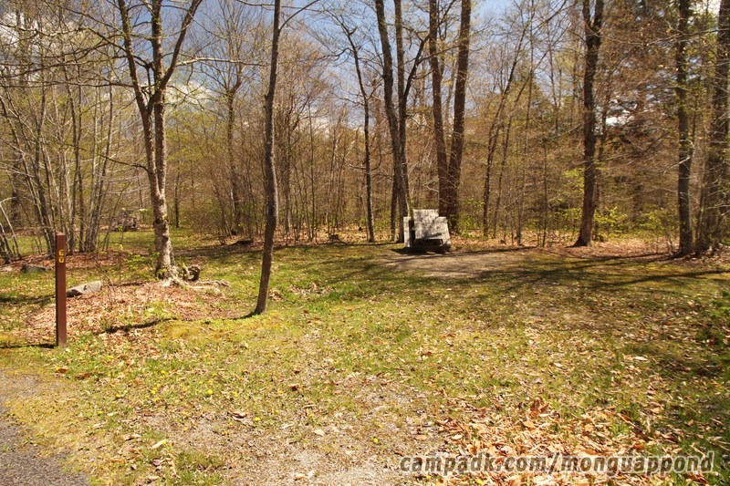 Campsite Photo of Site 60 at Mongaup Pond, New York - Looking at Site from Road Sign Visible