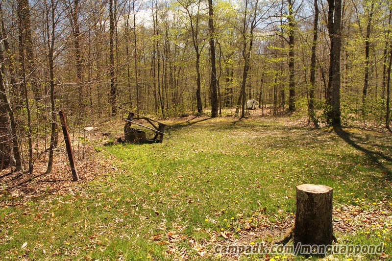 Campsite Photo of Site 65 at Mongaup Pond, New York - Looking at Site from Road Sign Visible